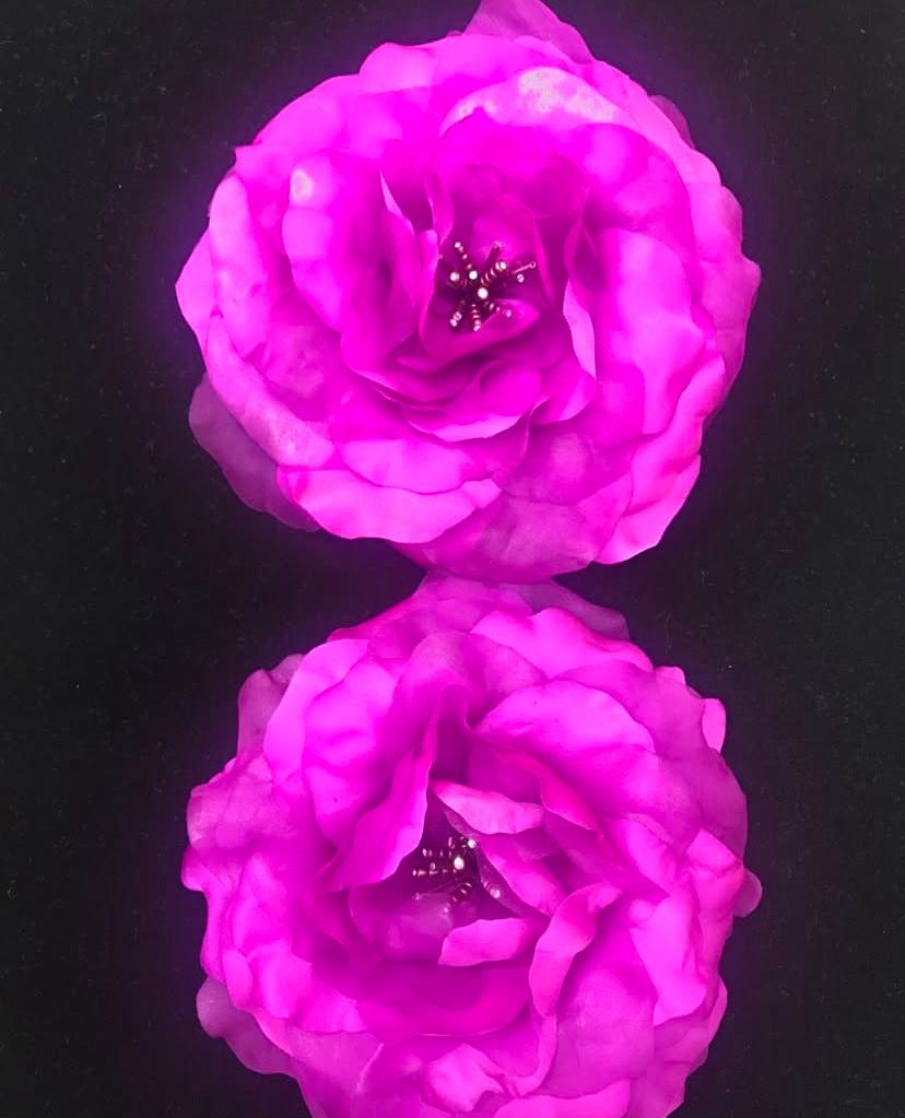 Arte em Flores